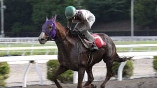 【高知・春野特別】5番人気サンライズグリットが豪快まくり！3馬身差の完勝