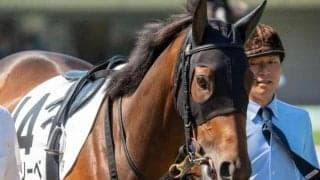 半兄は青葉賞馬のスキルヴィング ライネリーベが4カ月ぶり実戦