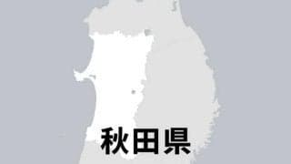 高校野球春季東北地区県大会が開幕　能代が競り勝つ、11試合は順延