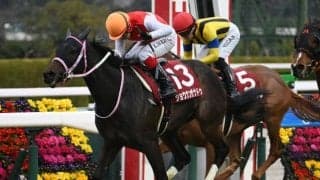 NHKマイルCは高速決着必至 大穴ならショウナンザナドゥか