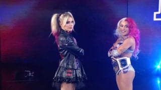 「狂犬チワワきたああ！」“ビジュアル最強”女子レスラー、まさかの電撃復帰で大歓声→ファンも思わず“お口あんぐり”の一部始終