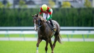 【メトロポリタンS】マイネルクリソーラがオープン初勝利