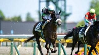 【東京7R】単勝1.2倍 シンハナーダが快勝…レースは少頭数5頭立て