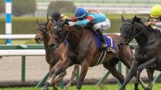 【オークス】エンブロイダリー、アルマヴェローチェらが登録