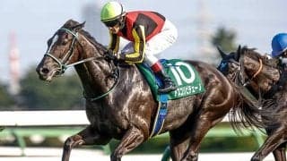 春の女王決定戦・ヴィクトリアMなど3重賞/今週の競馬界の見どころ