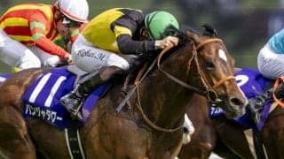 WIN5は8900万円超の払戻し…NHKマイルは伏兵パンジャタワーがV