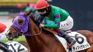 【新潟大賞典見どころ】勢い十分のディマイザキッドに注目