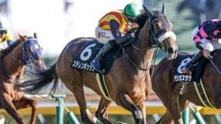 【ヴィクトリアM見どころ】ステレンボッシュが2つ目のGI奪取を狙う