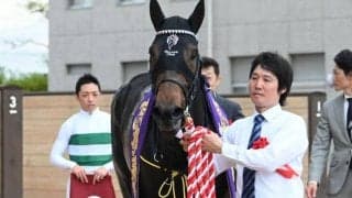 【京都新聞杯】売上は34億2584万7400円で昨年より約7億円減少