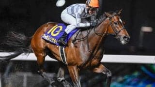 【川崎・エンプレス杯枠順】デビュー8連勝中で連覇狙うオーサムリザルトは5枠5番