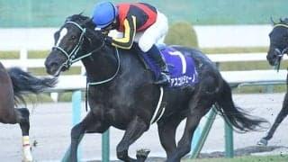 【ヴィクトリアM想定騎手】アスコリピチェーノはC.ルメール騎手、ステレンボッシュは戸崎圭太騎手