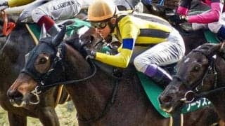 【ヴィクトリアM】穴狙いなら社台ファーム生産馬！ ソーダズリングとビヨンドザヴァレーの2頭が参戦だ