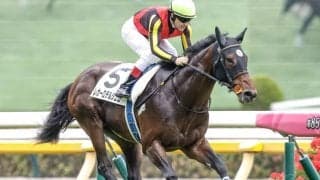【新潟大賞典展望】前走3勝クラス勝ち馬の勢いを重視