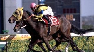 優れた影響を与える「ネオユニヴァース」の血