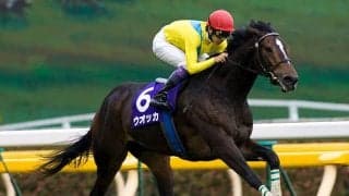 【ヴィクトリアマイル】1位は衝撃の“7馬身差” 歴代着差ランキングTOP5