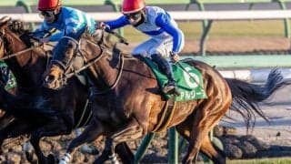 【ヴィクトリアM】ロードHCが12年ぶりのJRA・GI制覇へ ターコイズS覇者のアルジーヌが参戦