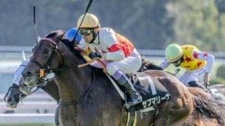 武豊騎手が春の新潟に初参戦 サブマリーナで新潟大賞典の初騎乗初制覇狙う