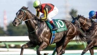 【ヴィクトリアM予想オッズ】アスコリピチェーノが予想1番人気