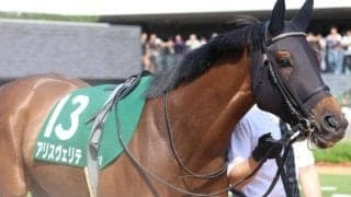 【ヴィクトリアM】池添謙一騎手がJRA牝馬限定GI完全制覇なるか 伏兵アリスヴェリテで一発狙う