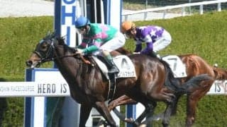 【京都HJ予想オッズ】アンクルブラックが予想1番人気