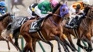 【新潟大賞典】ディーマジェスティ産駒がJRA重賞初制覇へ ディマイザキッドが3連勝狙う