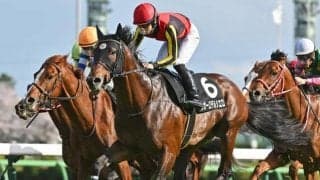 【新潟大賞典予想オッズ】レガーロデルシエロが予想1番人気