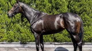 【ヴィクトリアM】「今回の立ち姿は屈指の迫力」 中内田厩舎の重賞3勝馬が待望のビッグタイトルへ