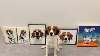 大谷翔平、愛犬デコピンの誕生日を祝福「2歳」　“最新3枚”をインスタで公開