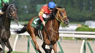 【ヴィクトリアM展望】波乱の使者となるか？データが示す前走惜敗組の妙味