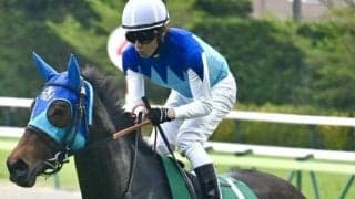 【ヴィクトリアM】今年こそ福島牝馬S組の初制覇なるか アドマイヤマツリがGI初挑戦だ