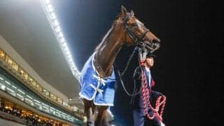 【川崎・エンプレス杯注目馬】無傷8連勝中のオーサムリザルトなどが参戦 春のダート女王決定戦