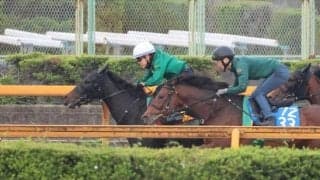 アルマヴェローチェ、オークス1週前追い切り速報/栗東トレセンニュース