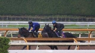 クロワデュノール、日本ダービー2週前追い切り速報/栗東トレセンニュース