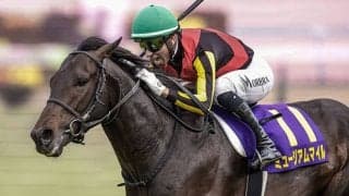 【日本ダービー想定】ミュージアムマイルやクロワデュノールなど17頭