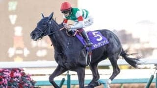 GI馬キラーアビリティが登録抹消 インドで種牡馬入り予定
