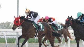 門別で「新種牡馬産駒限定戦」 マテラスカイ産駒グリーゼが父に初白星届ける