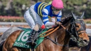 【ヴィクトリアM】歴代最多3勝の藤原英昭調教師 ワイドラトゥールで9年ぶりV狙う