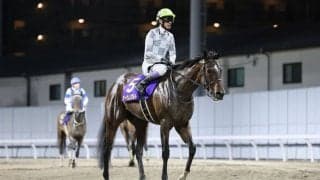 【エンプレス杯】武豊「連勝がストップしたのは残念」レース後ジョッキーコメント