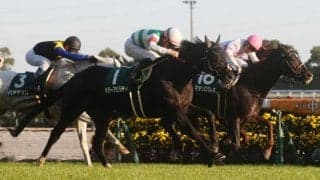 キラーアビリティの競走馬登録抹消…インドで種牡馬入り