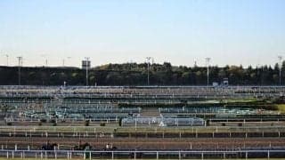 ふるさと納税でトレセン見学！ 美浦村が来月4日に村内ツアー