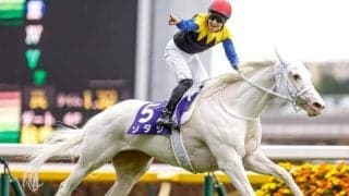 “唯一無二”の記録を持つGI ヴィクトリアマイルが刻む毛色の歴史