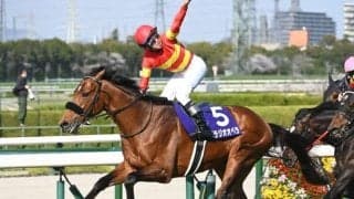 宝塚記念ファン投票第1回中間発表 大阪杯連覇のベラジオオペラが1位