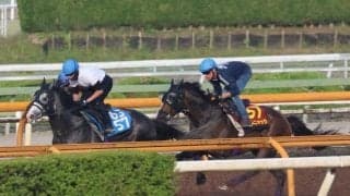 カムニャック、オークス1週前追い切り速報/栗東トレセンニュース