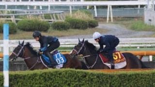 リンクスティップ、オークス1週前追い切り速報/栗東トレセンニュース