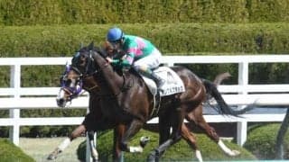 【京都HJ出走馬・騎手確定】アンクルブラック＆高田潤騎手、アサクサゲンキ＆小坂忠士騎手など10頭