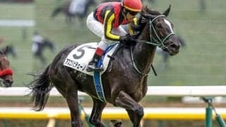 【ヴィクトリアM・調教後馬体重】アスコリピチェーノは484kg、ステレンボッシュは471kg