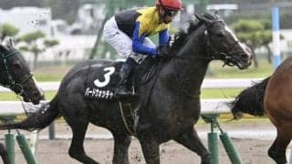 【信濃川特別】母は名牝アパパネ バードウォッチャーが連勝狙う