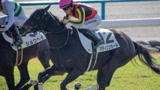 半姉は三冠牝馬のリバティアイランド マディソンガールが自己条件で必勝期す