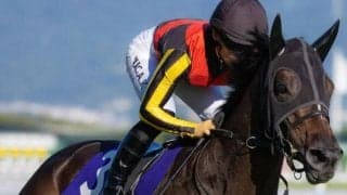 【ヴィクトリアM】中内田充正調教師×川田将雅騎手の黄金タッグ クイーンズウォークが悲願のGI初制覇なるか