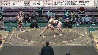 力士とは思えない“後ろ姿”に「背中バキバキだ」ファン衝撃 土俵を降りた“細マッチョ”力士の鍛え抜かれた肉体に驚き